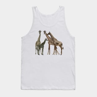 Giraffe - Family on Safari in Kenya / Africa Tank Top